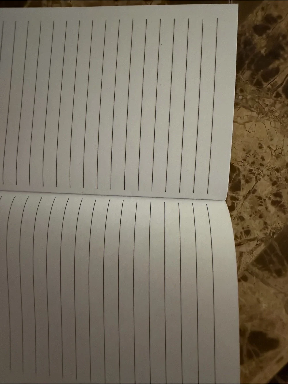 Sarcastic Funny Tiny Notebook in Brown with Black Text